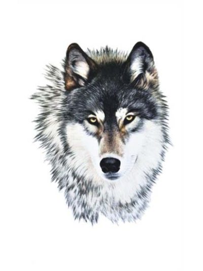 Wolf Tattoo