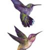 Hummingbird tattoo