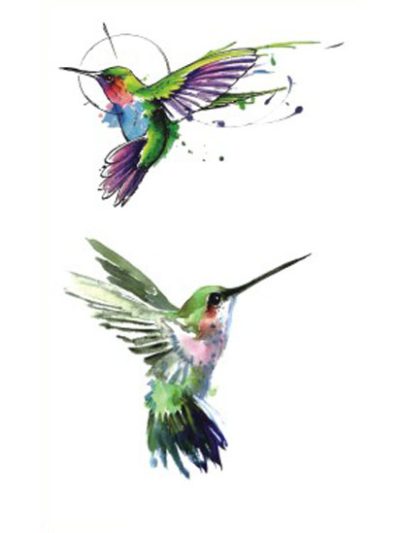 Hummingbird