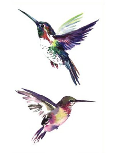 Hummingbirds