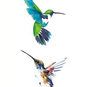 Hummingbirds