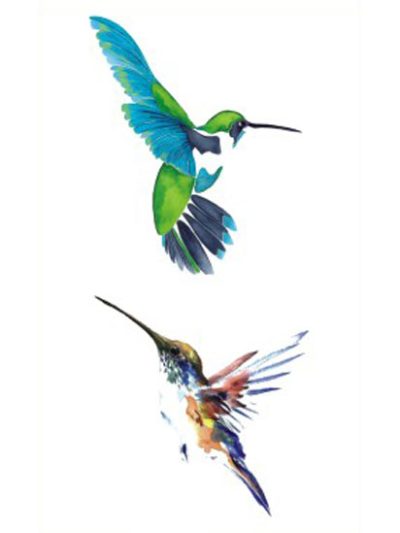 Hummingbirds