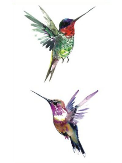 Hummingbirds