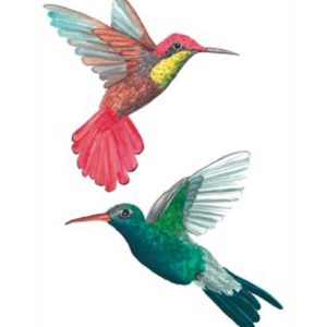 Hummingbirds