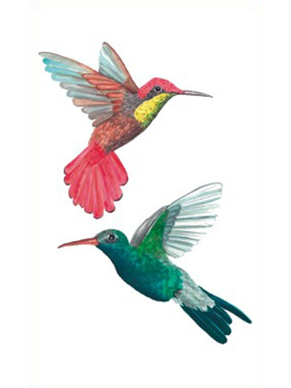 Hummingbirds