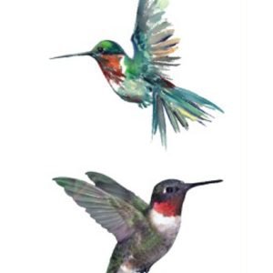 Hummingbirds