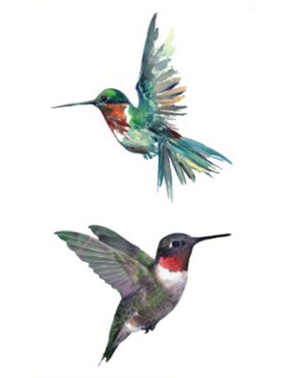 Hummingbirds