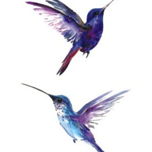 Hummingbirds