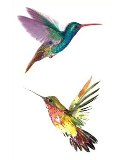 Hummingbirds