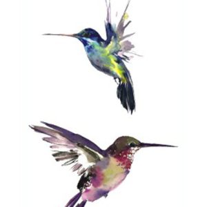 Hummingbirds