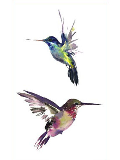 Hummingbirds