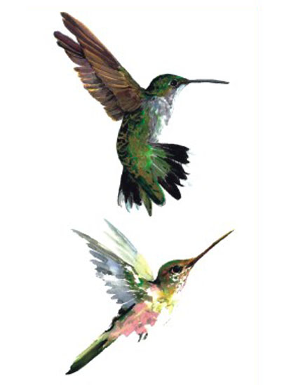 Hummingbirds