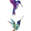 Hummingbirds