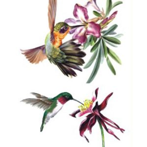 Flower Hummingbirds