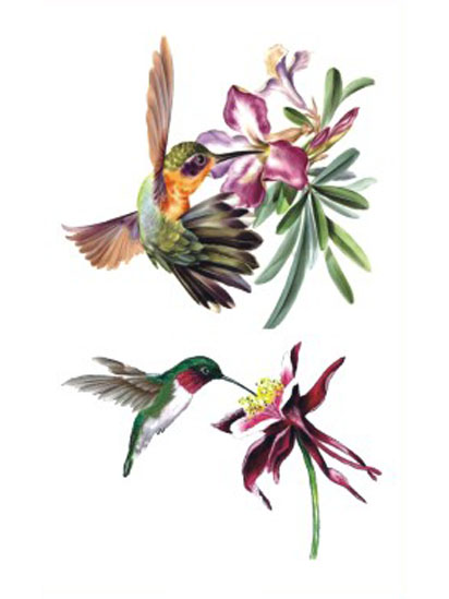 Flower Hummingbirds