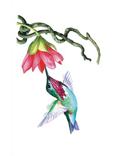 Flower Hummingbird