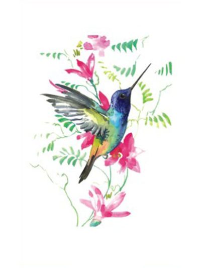 Flower Hummingbird