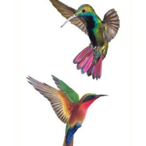 Hummingbirds