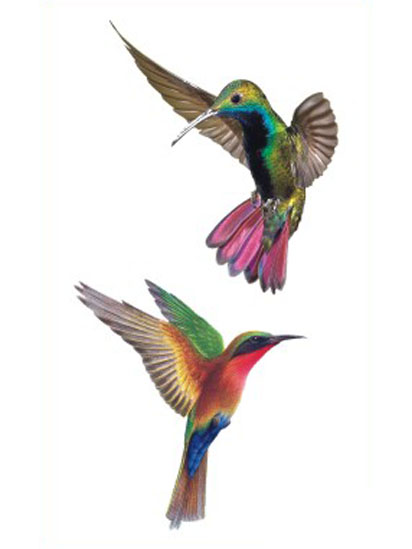 Hummingbirds