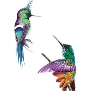 Hummingbirds