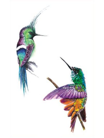 Hummingbirds