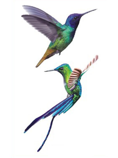 Hummingbirds