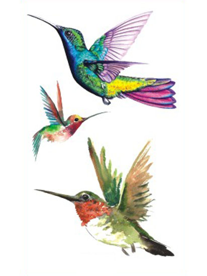 Hummingbirds