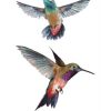 Hummingbirds