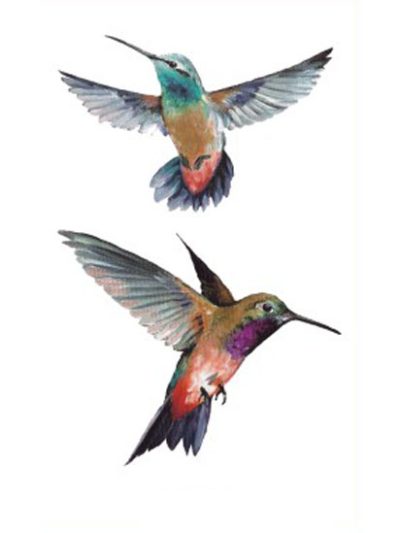 Hummingbirds