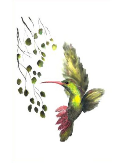 Leaves Hummingbird