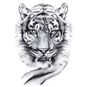 Tiger Tattoos