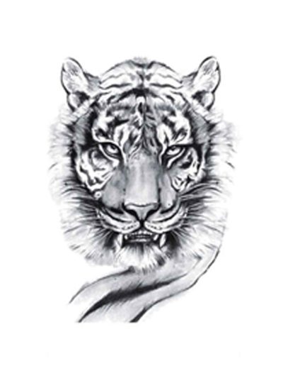 Tiger Tattoos