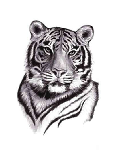 Tiger Tattoos