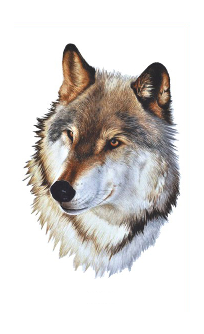 wolf tattoo