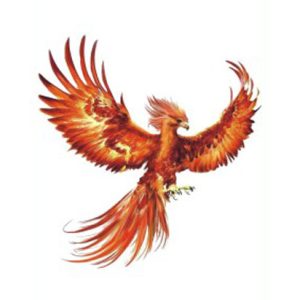 Phoenix Tattoo