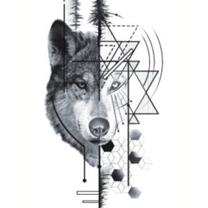 Geometry Wolf