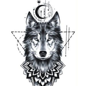 Geometry Wolf