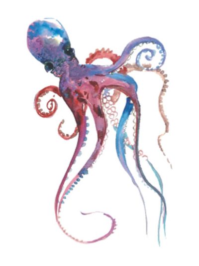 Octopus