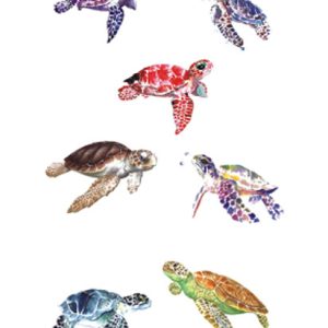 Turtle Temporary Tattoo