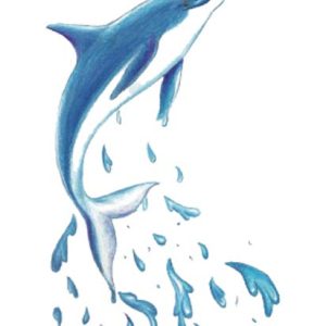 Dolphin Tattoo