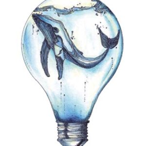 Light Bulb Whale