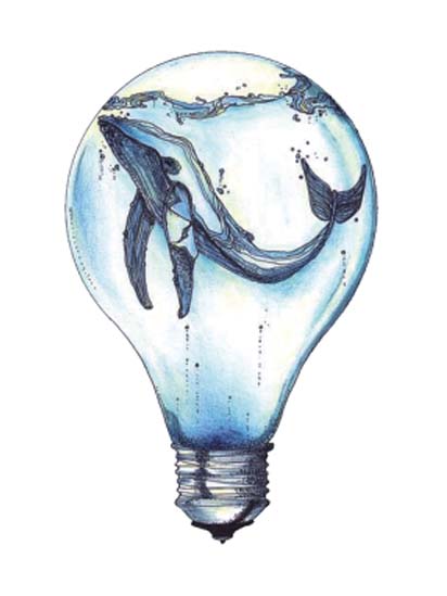 Light Bulb Whale