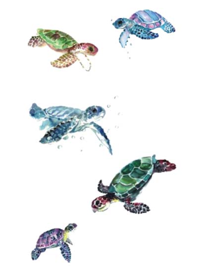 Turtles Tattoo Sticker