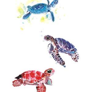 Turtles Tattoo Sticker