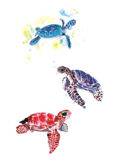 Turtles Tattoo Sticker