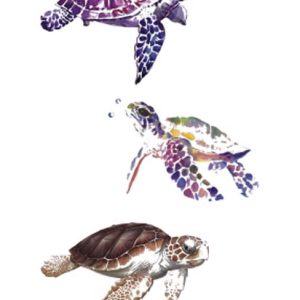 Turtles Tattoo Sticker