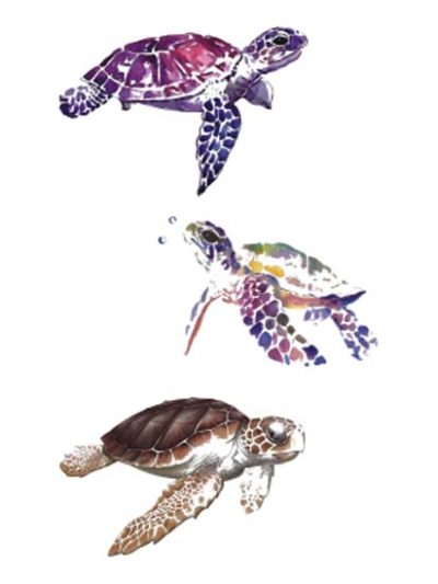 Turtles Tattoo Sticker