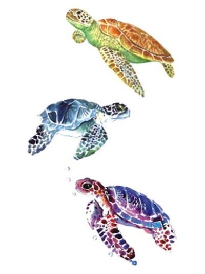 Turtles Tattoo Sticker