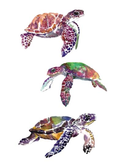 Turtles Tattoo Sticker