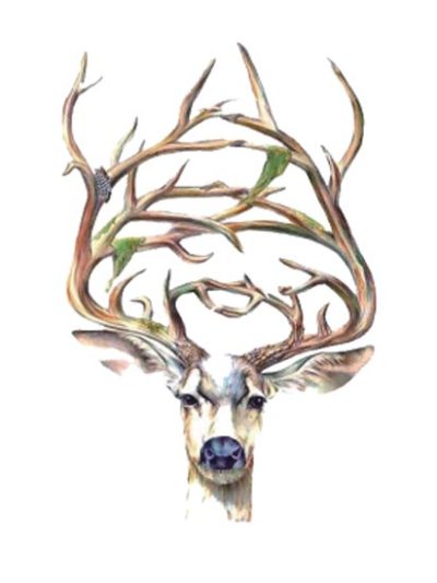 Super Antler